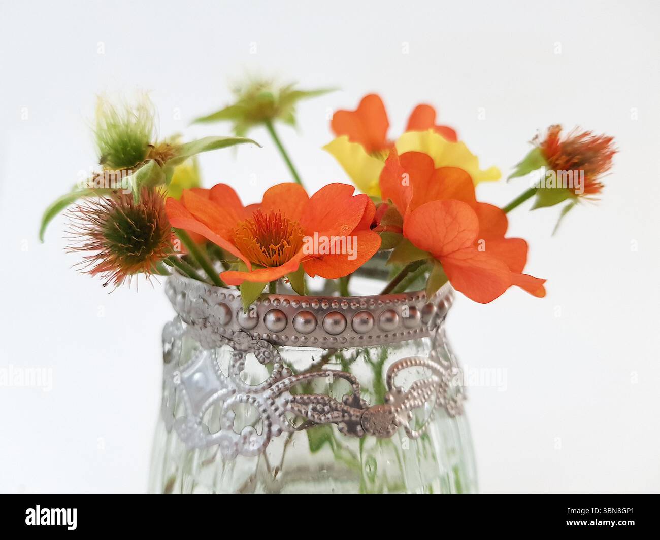 Un vaso decorativo in vetro con un'esposizione di fiori estivi colorati su sfondo bianco. Foto Stock