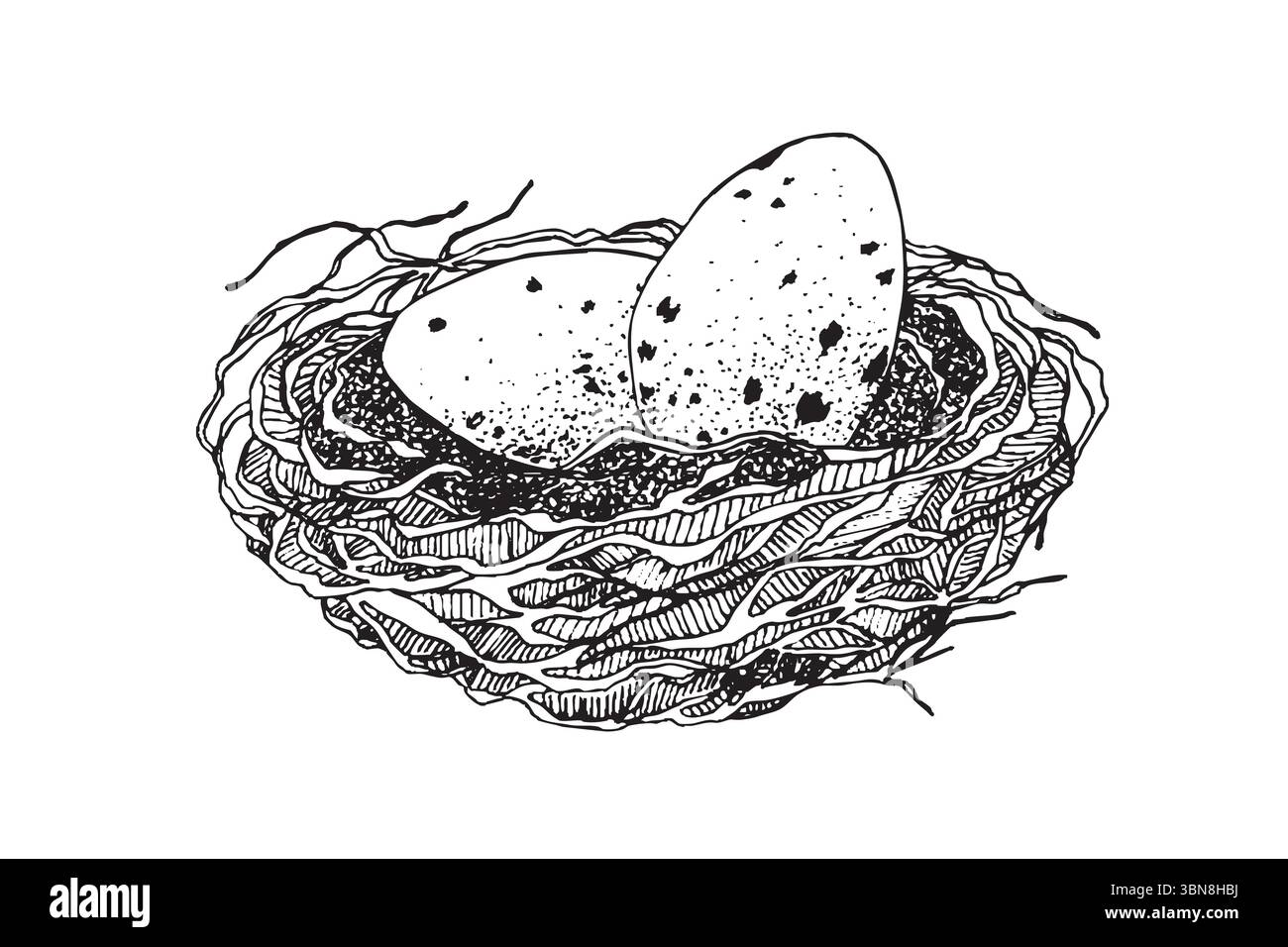 Nido di uccello con uova. Illustrazione vettoriale disegnata a mano durante la Pasqua, design del modello Illustrazione Vettoriale