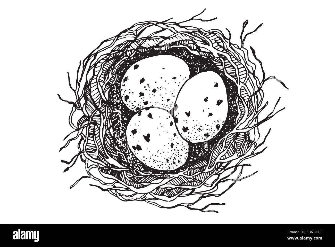 Nido di uccello con uova. Illustrazione vettoriale disegnata a mano durante la Pasqua, design del modello Illustrazione Vettoriale