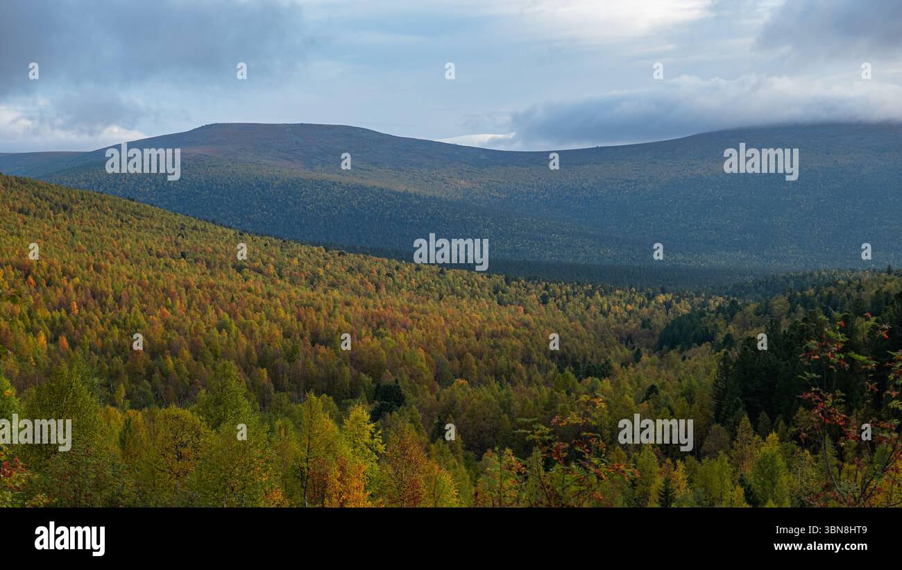 Lo splendido fogliame autunnale dipinge le pendici boschive delle montagne urali settentrionali, creando un vivace arazzo di colori sotto un cielo spettacolare Foto Stock