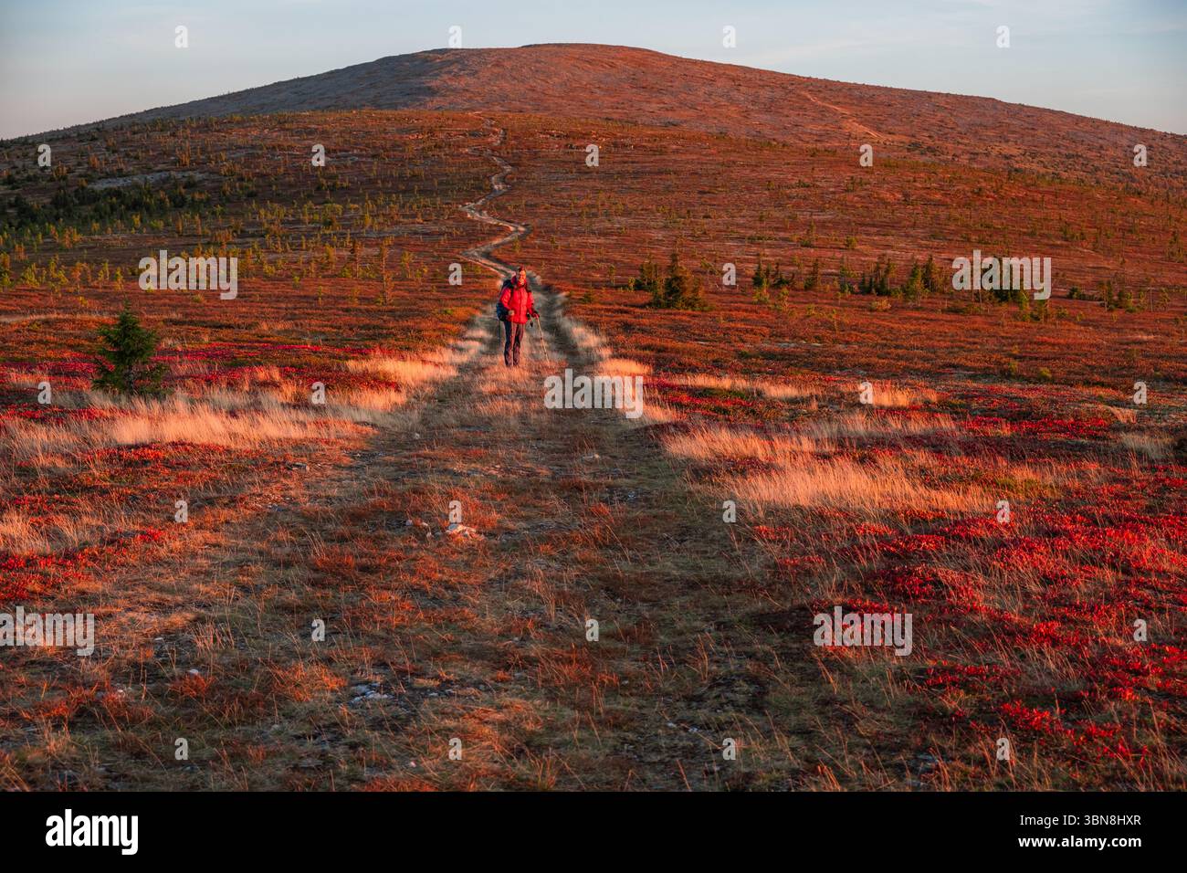 Backpacker che cammina lungo un sentiero colorato durante il tramonto nell'altopiano dei manpupuner, un monumento geologico situato nel nord degli urali, in russia, caratterizzato da formazioni rocciose uniche Foto Stock