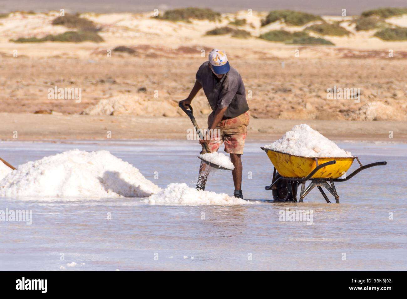 La raccolta manuale degli operatori del sale a Salinas de Pedra de lume, Capo Verde Foto Stock