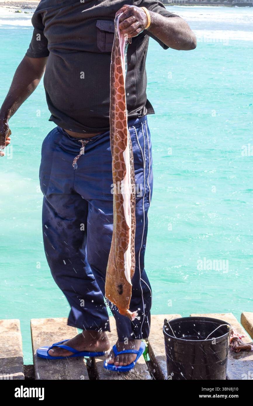 Pescatore con un Moray Eel appena pescato, isola di Sal Foto Stock