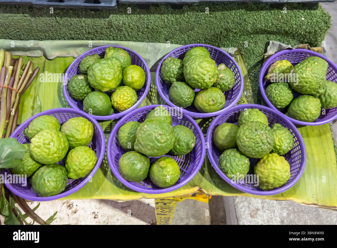 Citrus hystrix, kaffir lime, Thai lime o makrut lime, un agrumato originario del sud-est asiatico tropicale. Hua Hin Street Market, Thailandia Foto Stock
