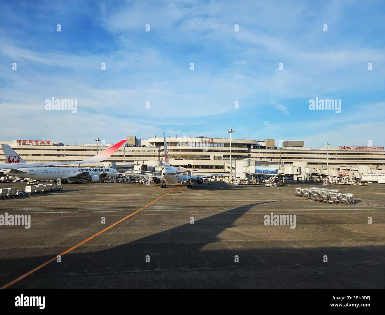 Japan Airlines Jets presso Tokyo Haneda Terminal 1 Apron Foto Stock