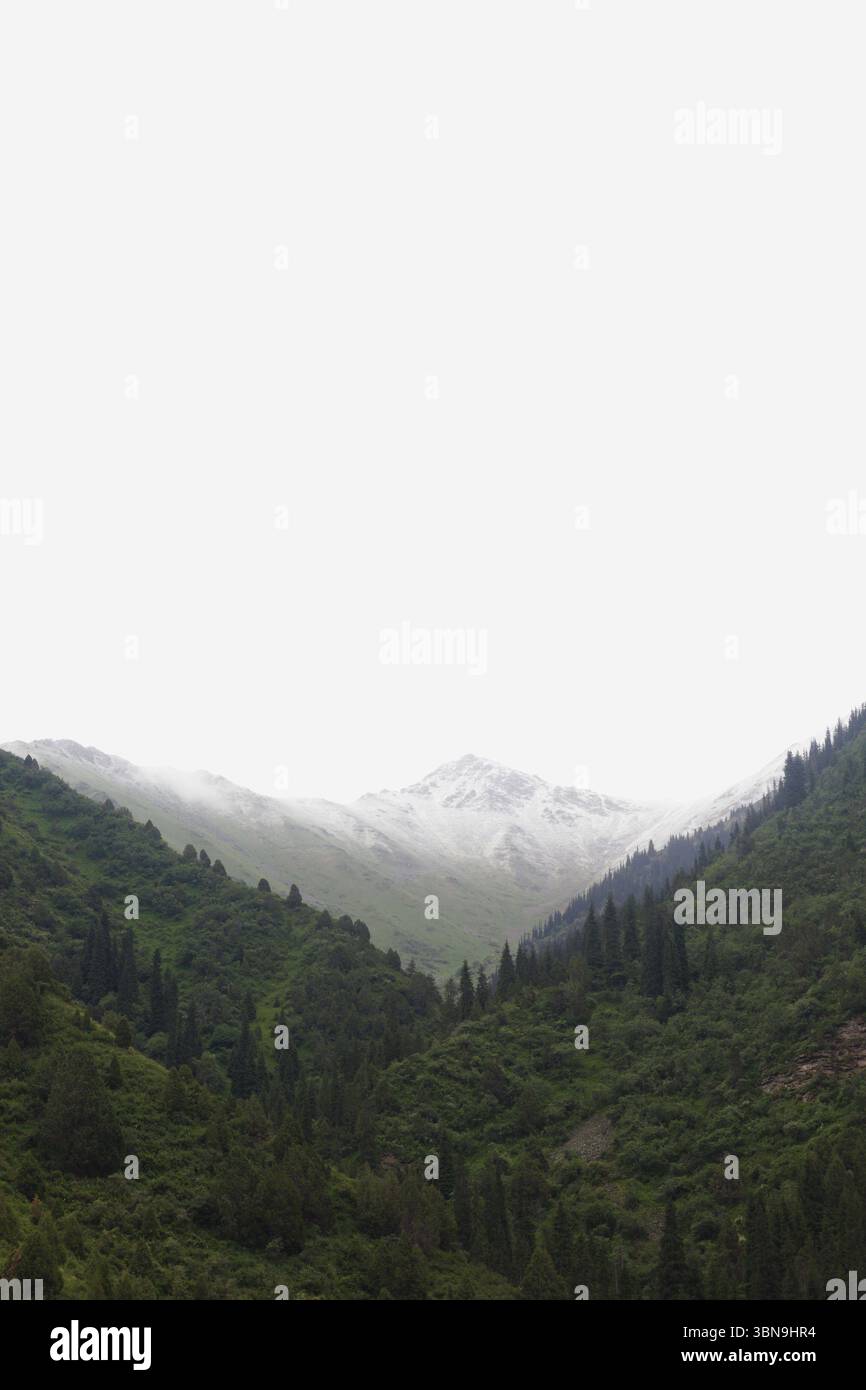 Montagne di Foggy. Paesaggio nebbioso. Sfondo naturale con nuvole e colline. Foto Stock