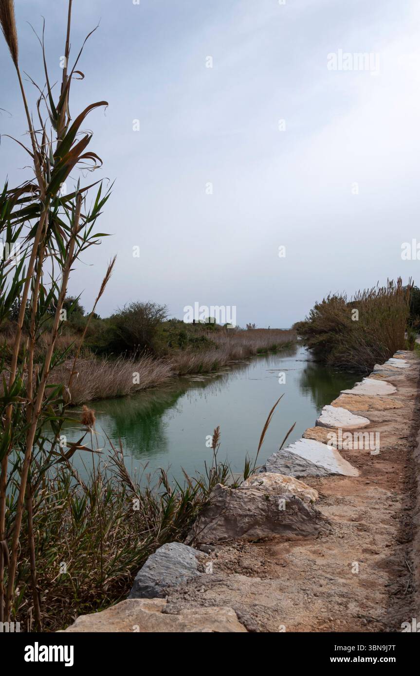 Il fiume Cervera o Río Seco che sfocia in Playa de la Mar Xica, Benicarló, Castelló de la Plana, Comunità Valenciana, Spagna Foto Stock