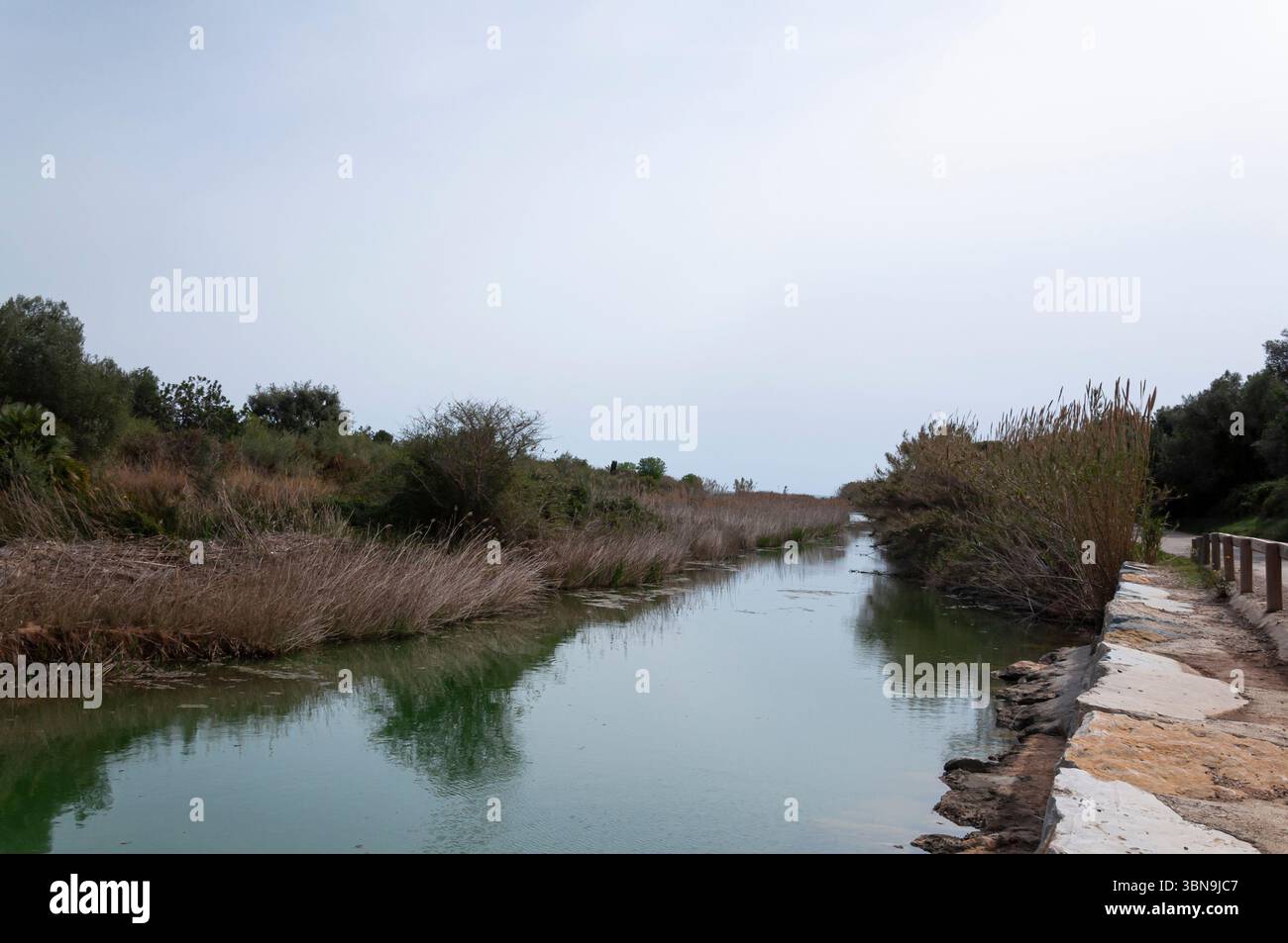 Il fiume Cervera o Río Seco che sfocia in Playa de la Mar Xica, Benicarló, Castelló de la Plana, Comunità Valenciana, Spagna Foto Stock
