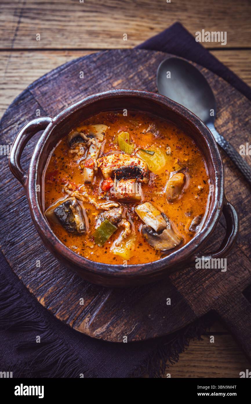 Zuppa di pizza con verdure, funghi e carne macinata, minestrone Foto Stock