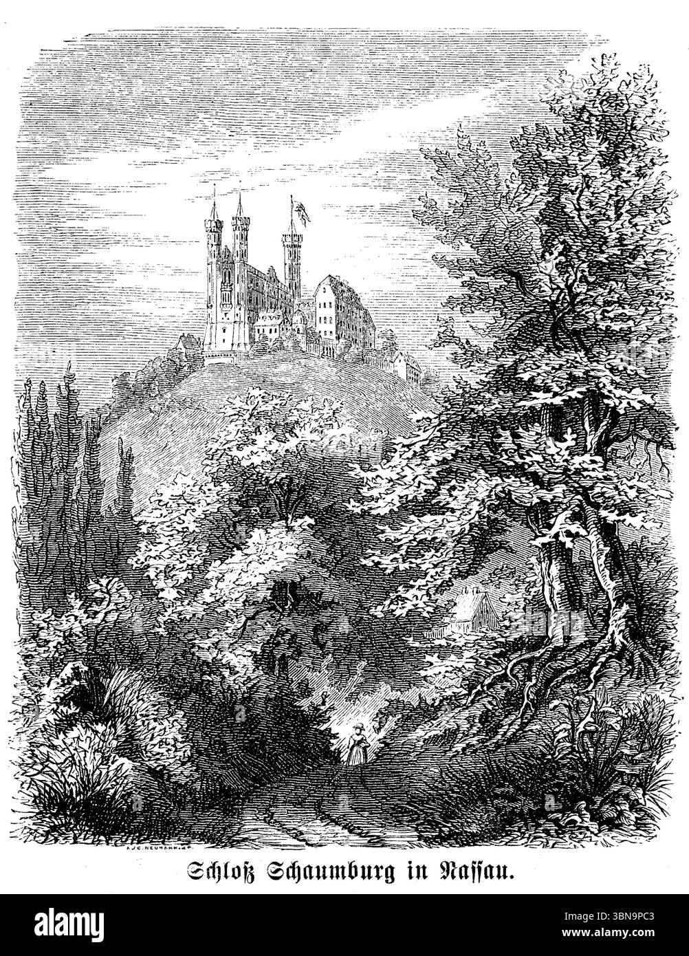 Vista panoramica del castello di Schaumburg Nassau, Renania-Palatinat-Germania, illustrazione del XIX secolo Foto Stock