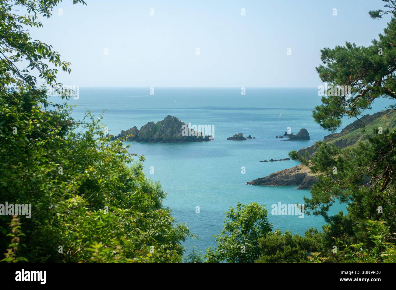 La pietra di Mew nel Canale della Manica vicino alla foce del fiume Dart Devon Regno Unito Foto Stock