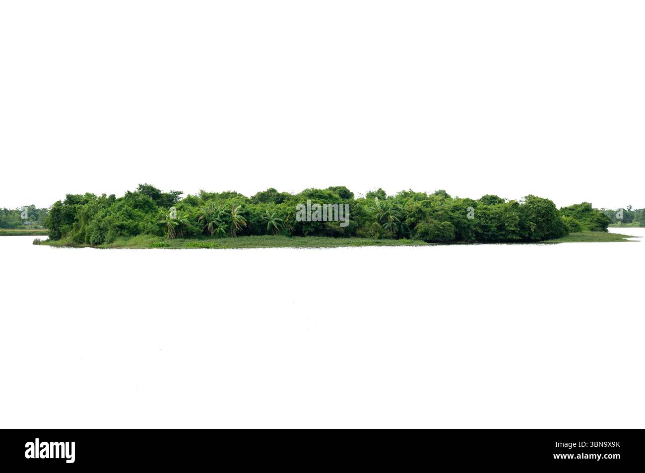 Isola selvaggia isolata. Lussureggianti alberi tropicali verdi e vegetazione che formano una piccola e densa isola forestale su sfondo bianco, mostrando varietà di piante Foto Stock