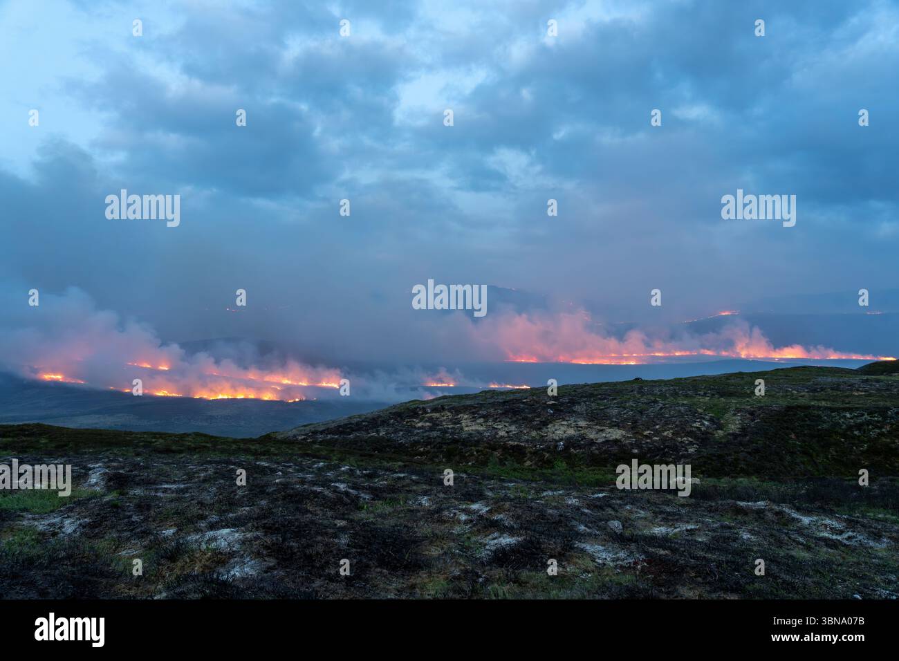 28 giugno 2025. Carrbridge e Grantown a Spey, Scozia. Si tratta di un grande incendio guidato dal vento su tutte le colline tra Carrbridge e Grantown e S. Foto Stock