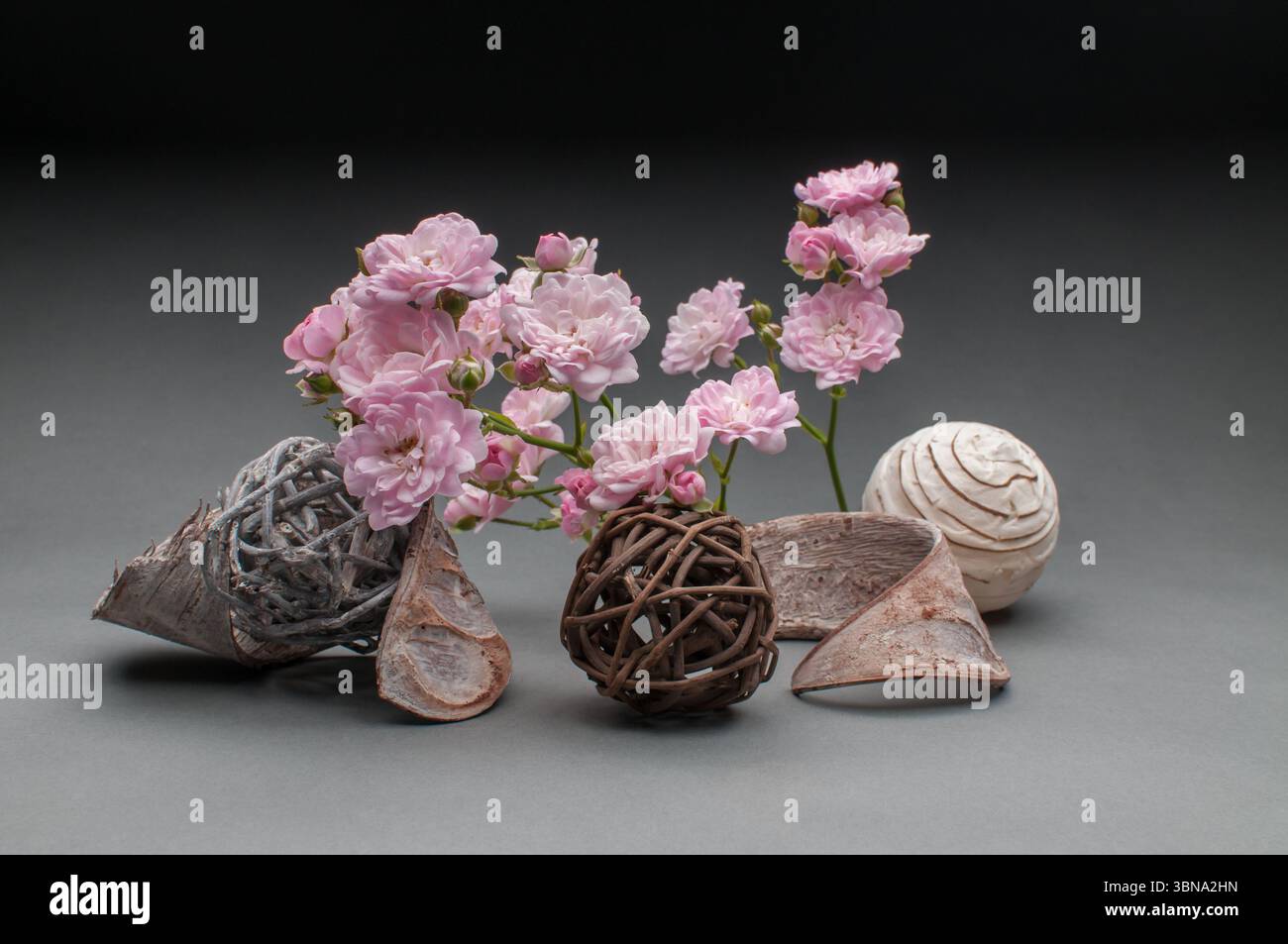 rose rosa chiaro e oggetti decorativi in vimini e corteccia su sfondo grigio-nero graduato, spettacolari fotografie di natura morta, soggetto semplice, occhio- Foto Stock