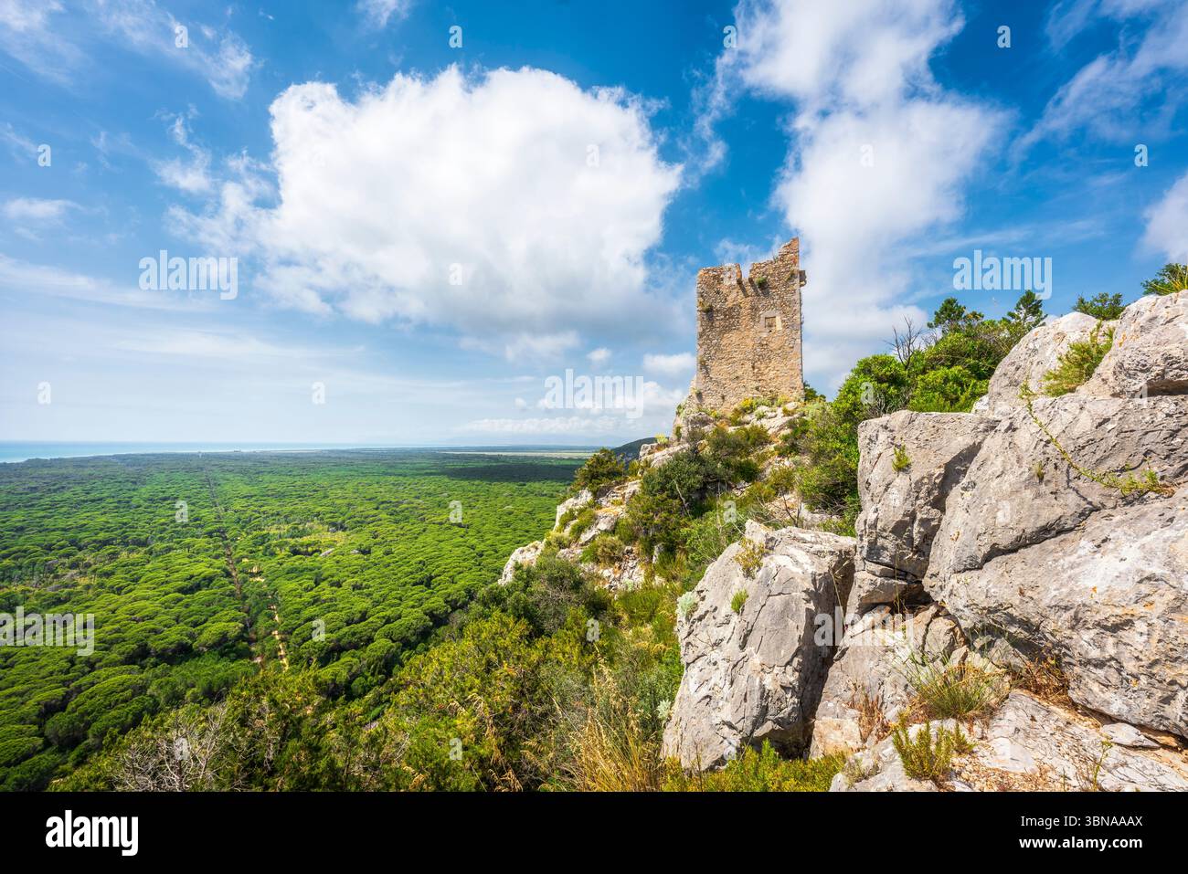 Torre di Castelmarino e vista panoramica del Parco della Maremma, noto anche come Parco dell'Uccellina. Pineta e mare sullo sfondo. Provincia di Grosseto Foto Stock