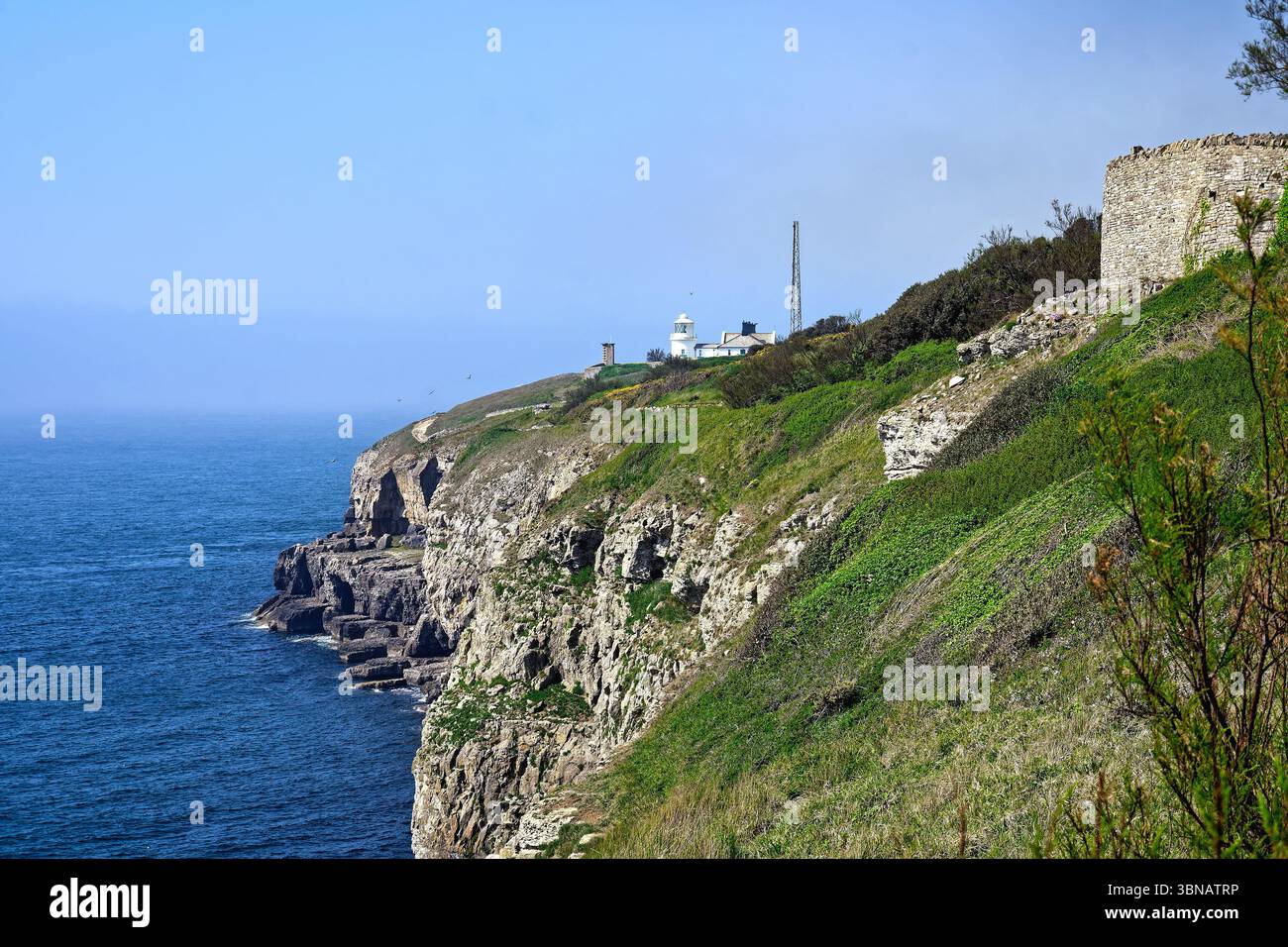 Faro di Anvil Point sulla costa del giurassico al Durlston Country Park in una giornata di sole estati Swanage Dorset Inghilterra Regno Unito Foto Stock