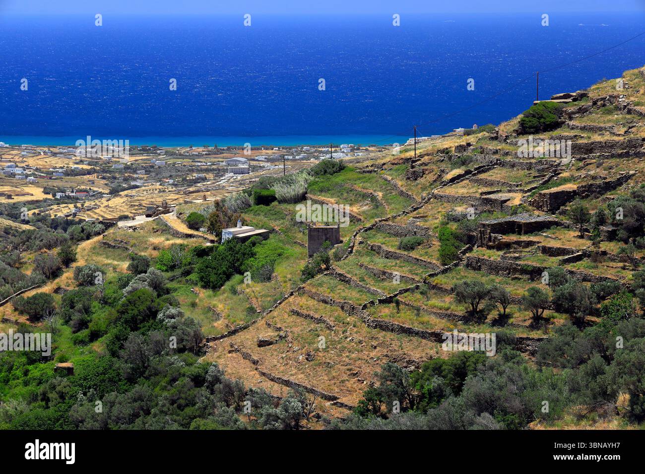 Paesaggio con terrazzamenti agricoli tradizionali, Tinos meridionale, Tinos, Isole Cicladi, Grecia. Foto Stock
