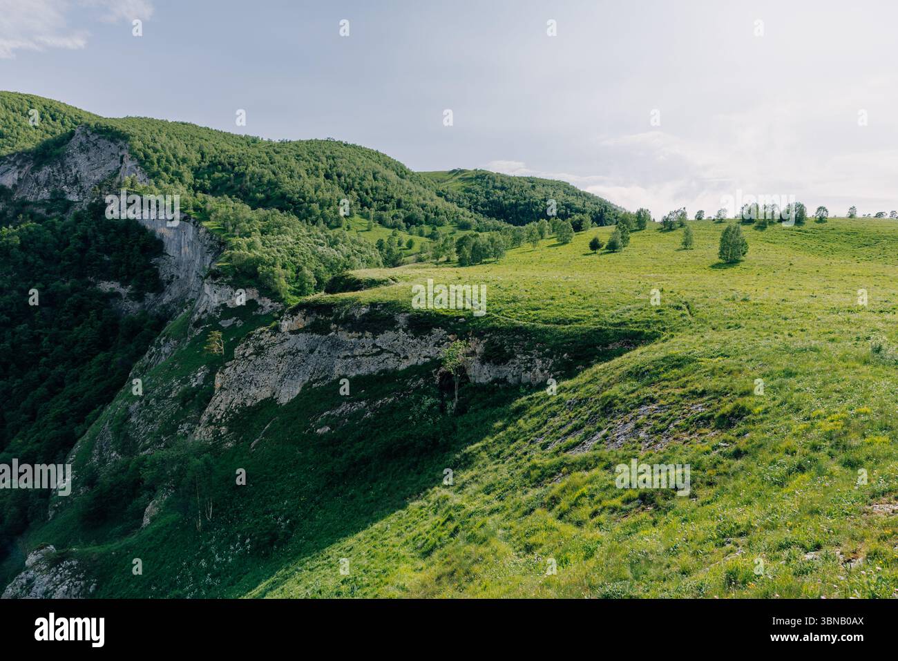 Soleggiato prato di montagna con dolci colline verdi, scogliere e alberi sparsi sotto un cielo azzurro Foto Stock