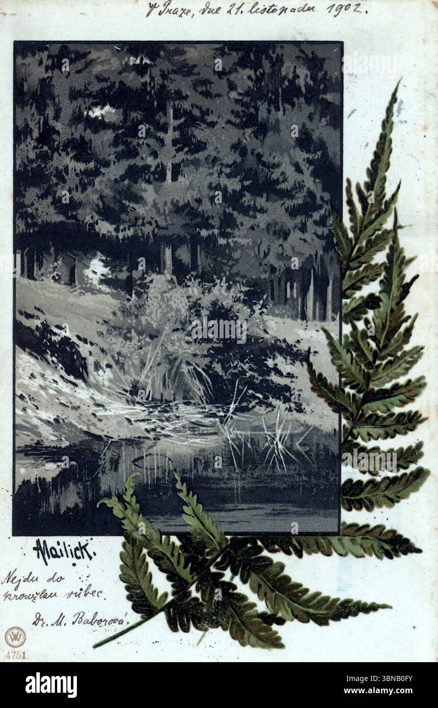 Una cartolina ceca del 1902 presenta una scena boschiva monocromatica, alberi e sottobosco che si riflettono nell'acqua ferma, incorniciata da delicate foglie di felce. Testo ceco scritto a mano sovrappone l'immagine, datato 21 novembre 1902. La composizione fonde serenità naturale con corrispondenza personale, evocando l'introspezione delle pinne di siècle e la riverenza botanica. Foto Stock