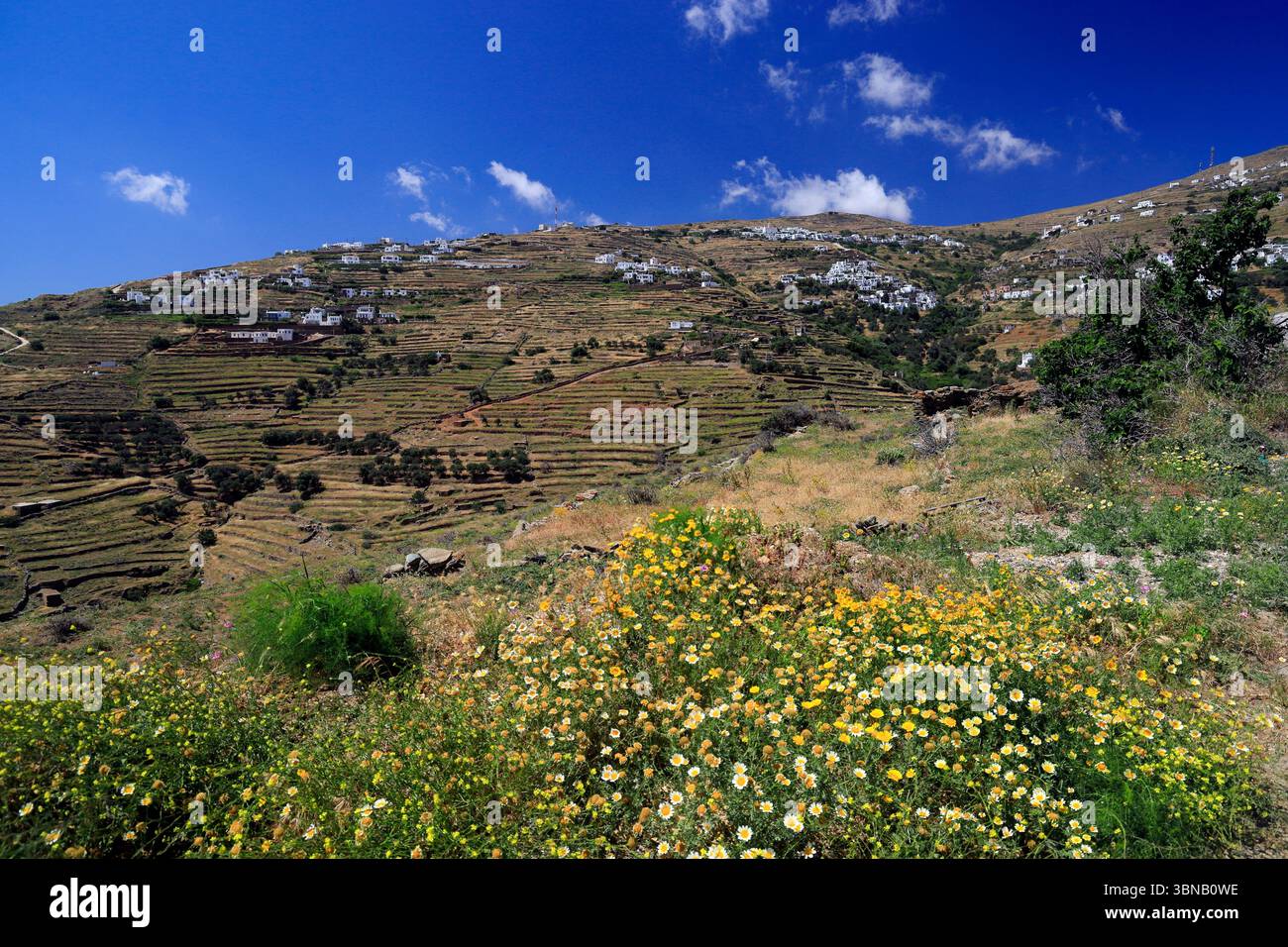 Villaggio di montagna di Berdemiaros, Tinos, Isole Cicladi, Grecia. Foto Stock