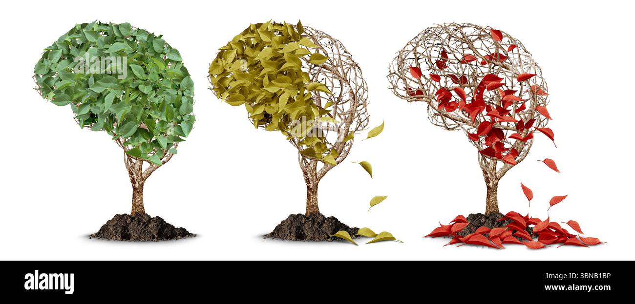 Demenza e perdita di memoria come concetto di atrofia cerebrale e declino cognitivo o invecchiamento neurologico come perdita di memoria e neurodegenerazione nella guarigione mentale Foto Stock