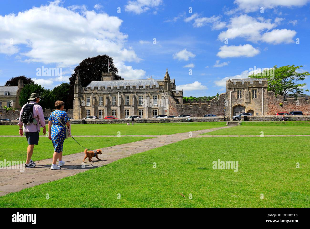 Coppia di cani che camminano dall'altra parte del Cathedral Green in direzione dell'Old Deanery, Wells, Somerset. Foto Stock