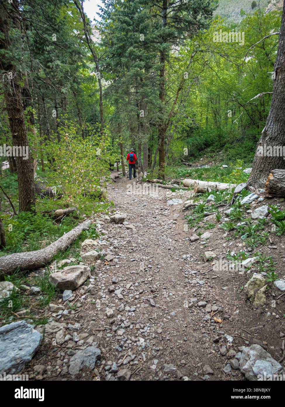 Salt Lake Overlook Trail Millcreek Canyon con escursionisti, Utah USA Foto Stock
