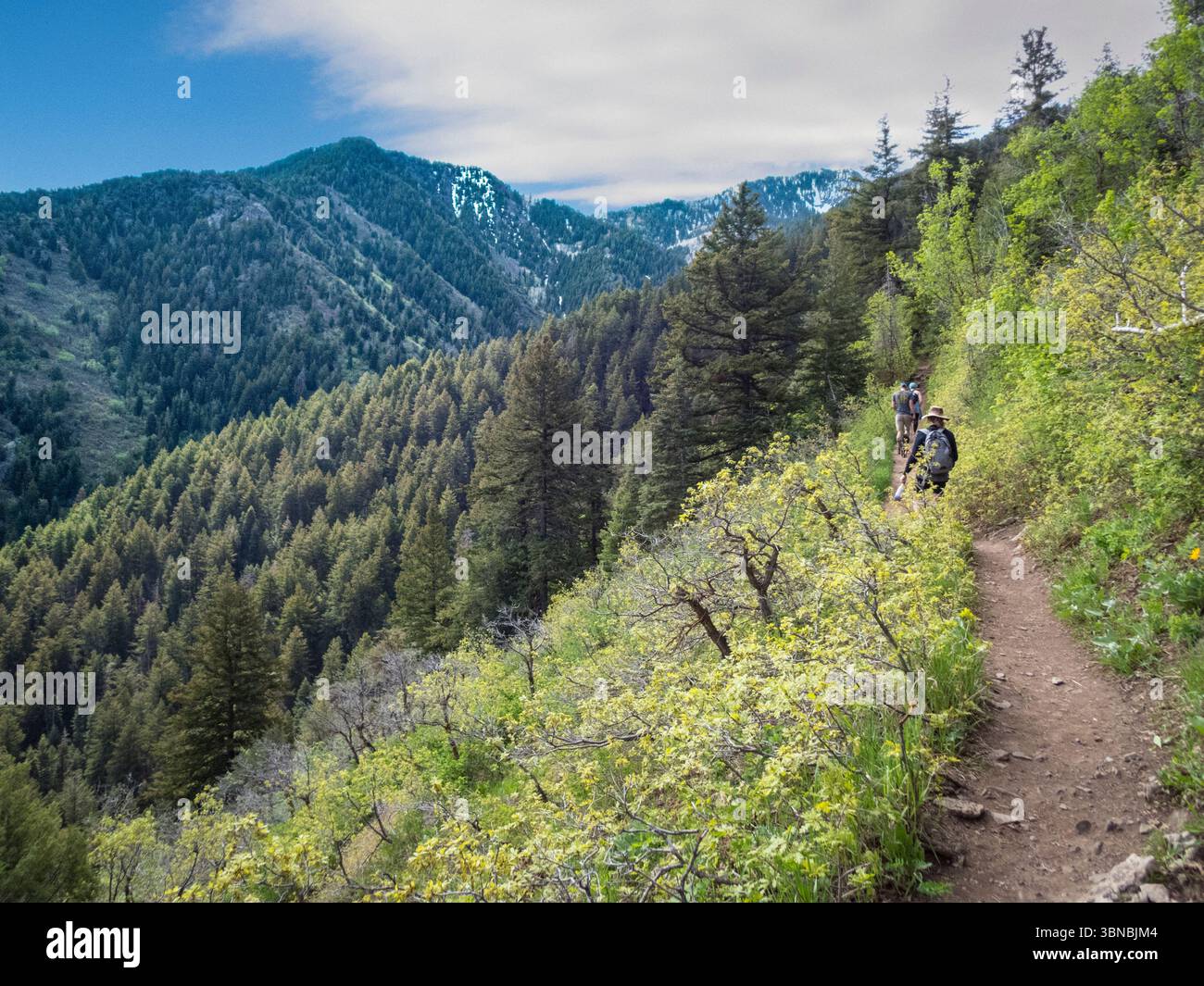 Salt Lake Overlook Trail Millcreek Canyon con escursionisti, Utah USA Foto Stock