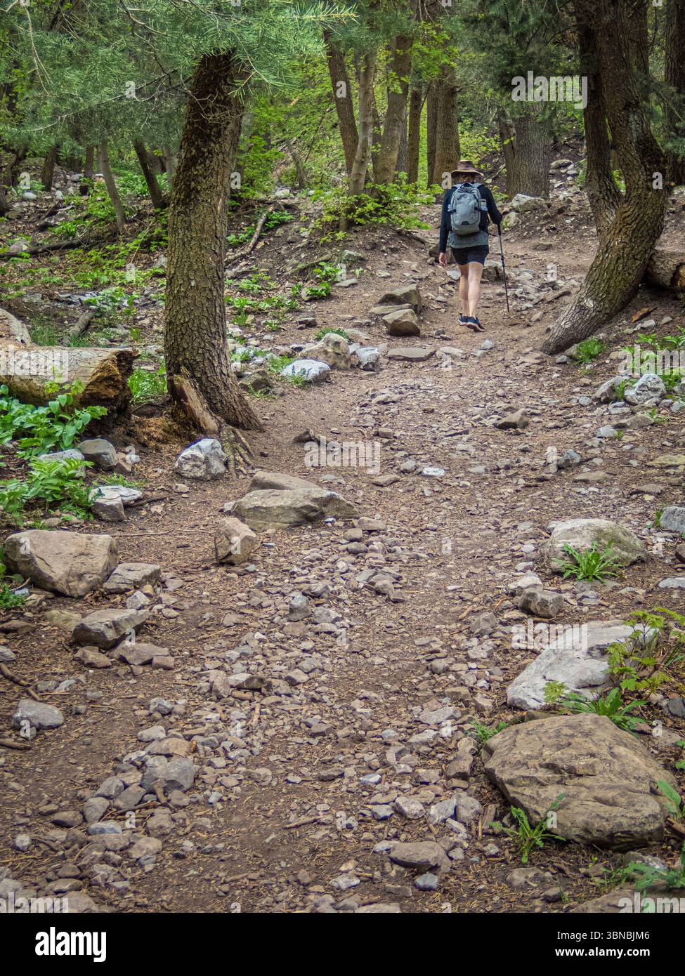 Salt Lake Overlook Trail Millcreek Canyon con escursionisti, Utah USA Foto Stock
