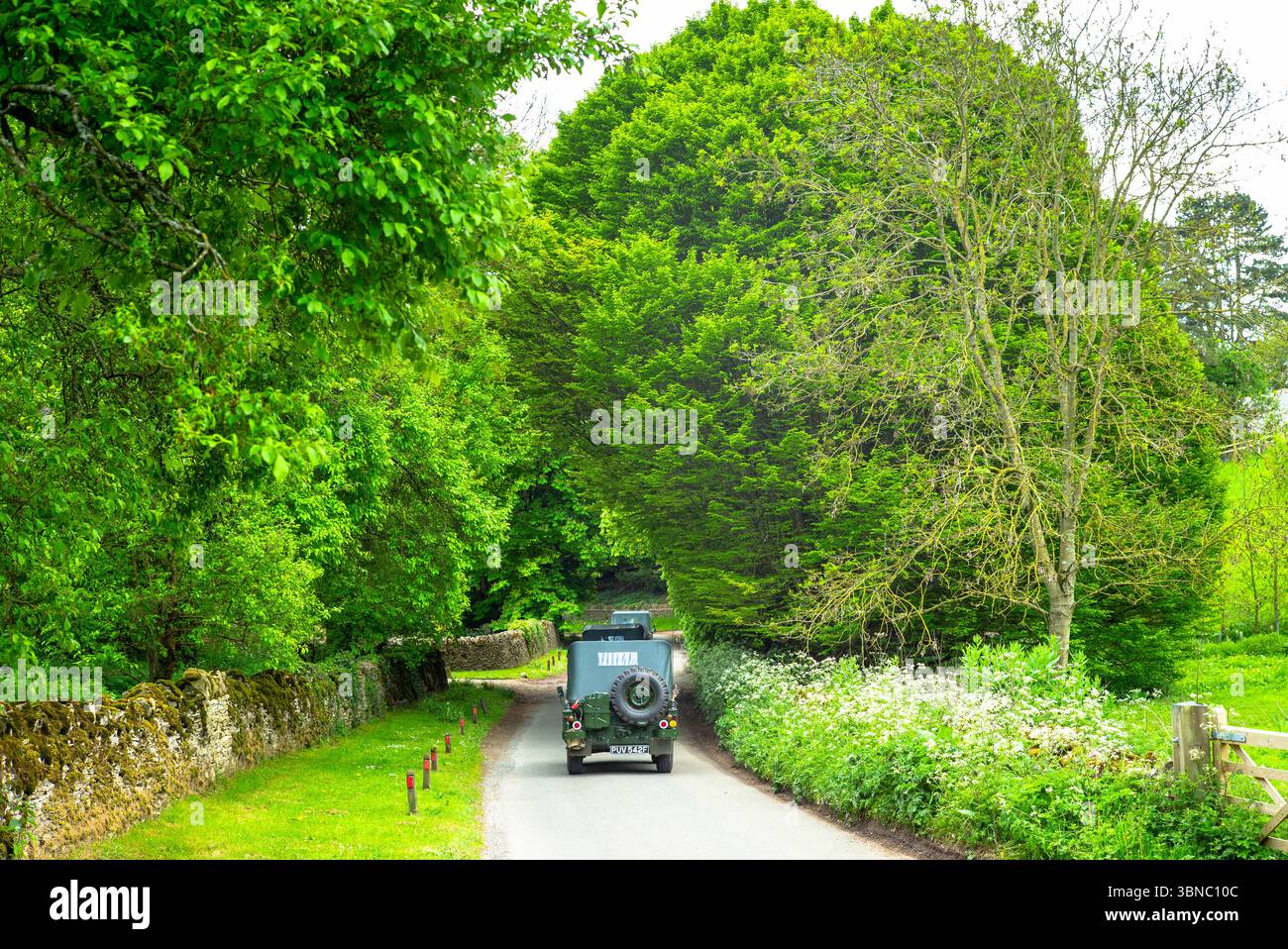 Veicoli militari restaurati della seconda guerra mondiale diretti a un raduno di appassionati lungo una tranquilla strada di campagna a Swinbrook, nelle Cotswolds, Oxfordshire, U Foto Stock