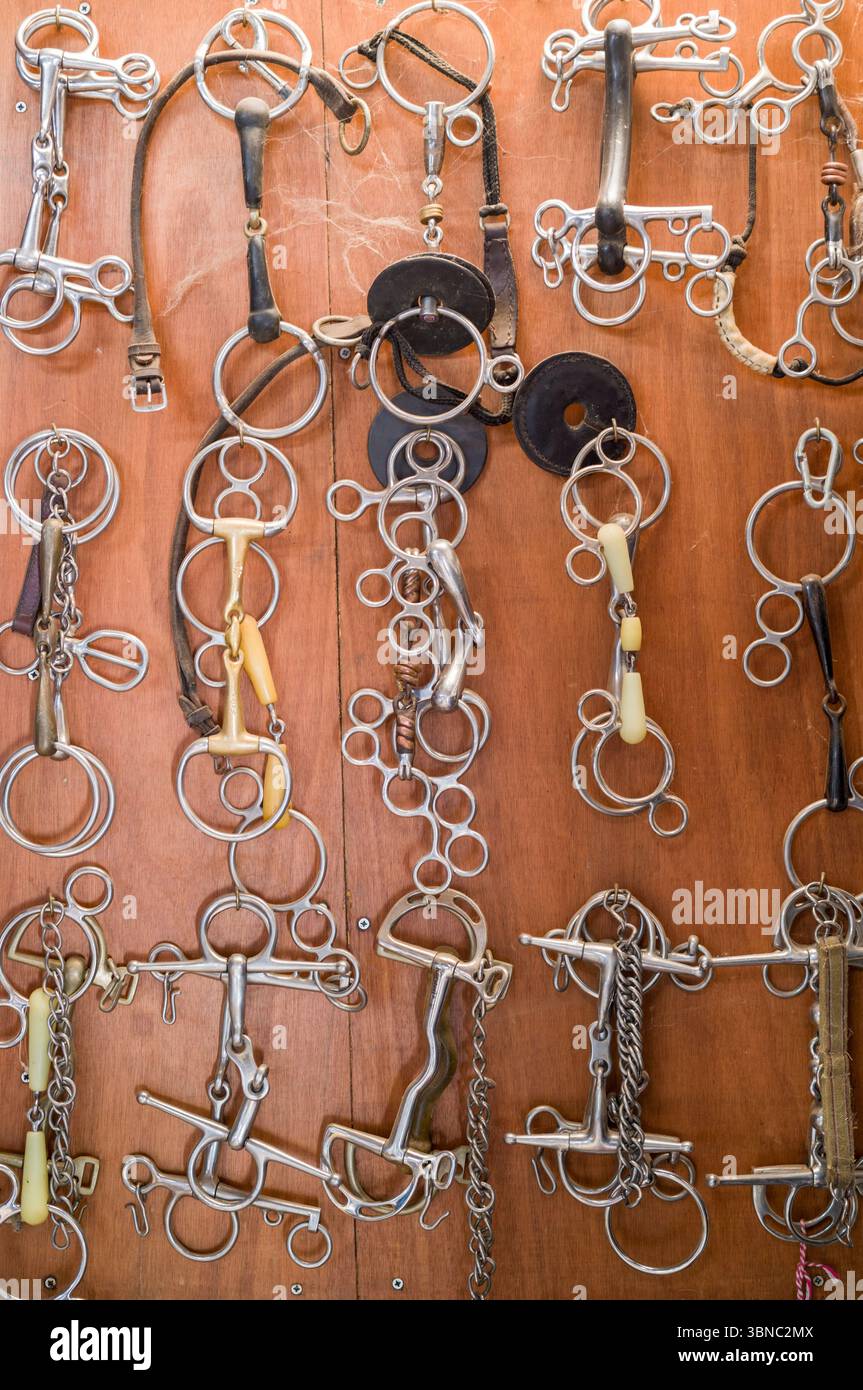 Equine Tack - una gamma di punte e catene di cavallo in acciaio inossidabile in metallo ben esposte su un pannello in una sala per le scommesse equestri Foto Stock