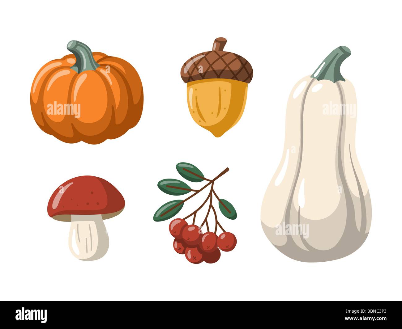 Raccolta autunnale di elementi forestali con zucche, bacche, ghianda e funghi. Illustrazione isolata del vettore cartoni animati Illustrazione Vettoriale
