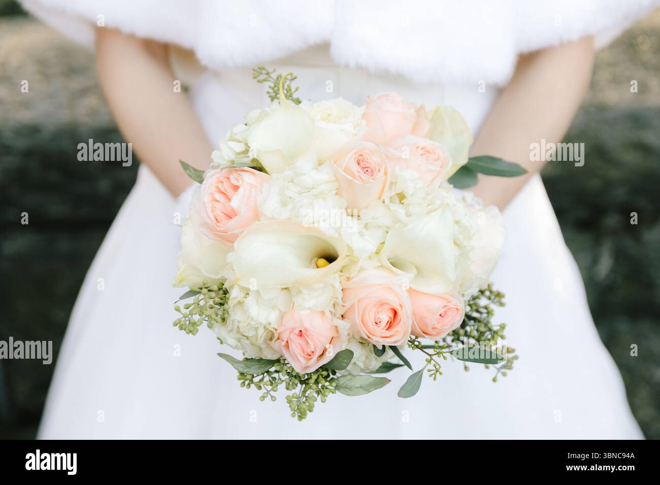 La sposa regala un bellissimo bouquet di rose rosa e gigli di calla bianchi adornati di verde in un ambiente invernale. Foto Stock