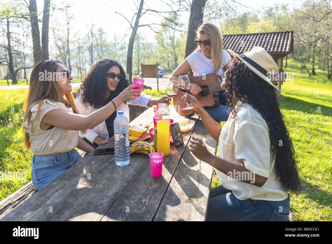 Donne multi etniche felici che si godono un picnic nella natura, brindano con bevande, suonano la chitarra e celebrano l'amicizia in una giornata di sole Foto Stock