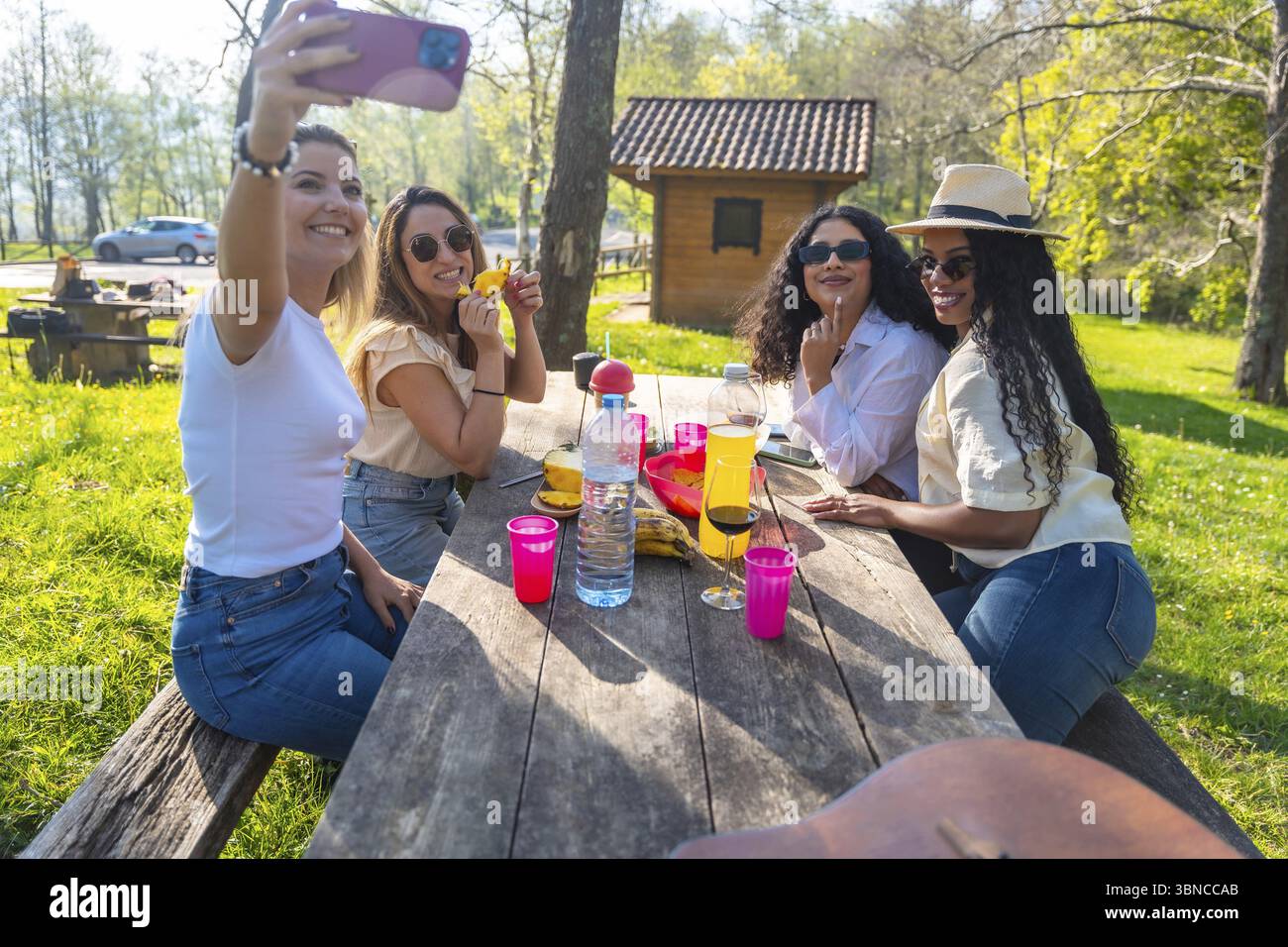 Quattro allegre amiche si divertono a fare un picnic all'aperto, catturando l'attimo con un selfie Foto Stock