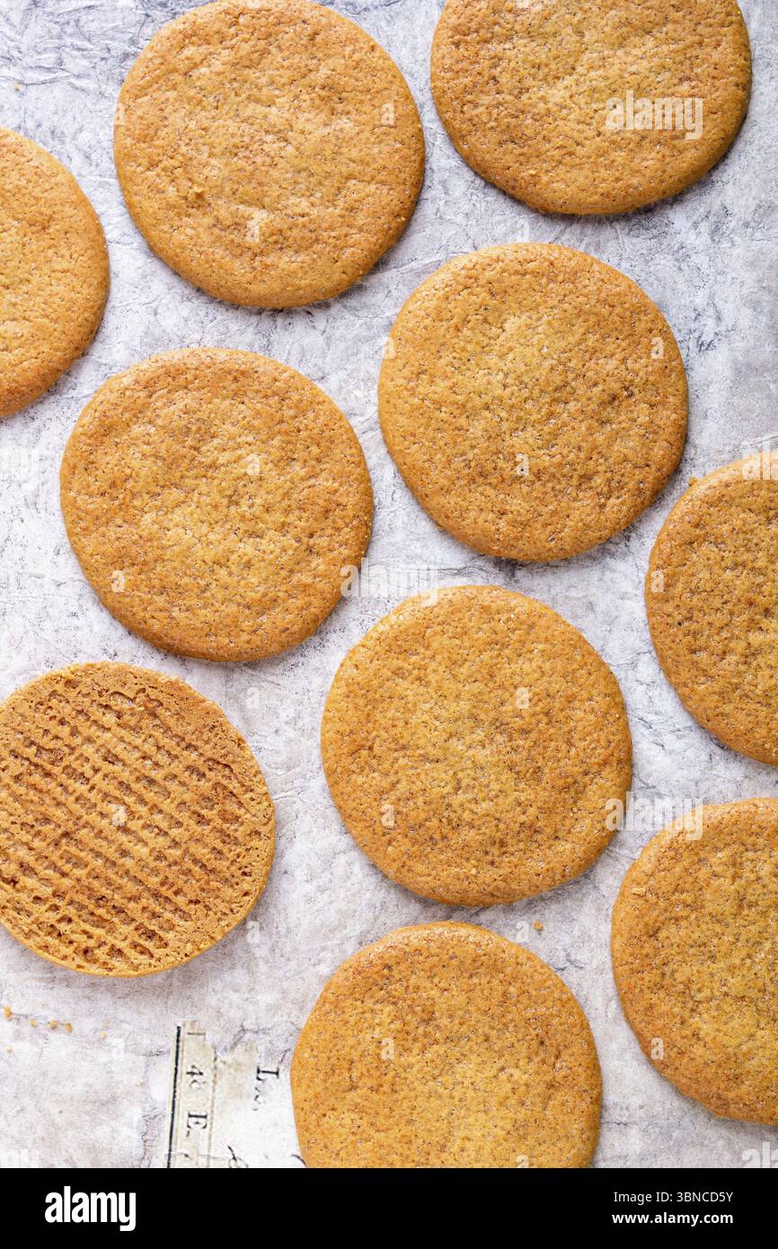 Schema di biscotti rotondi di pan di zenzero su sfondo grigio Foto Stock