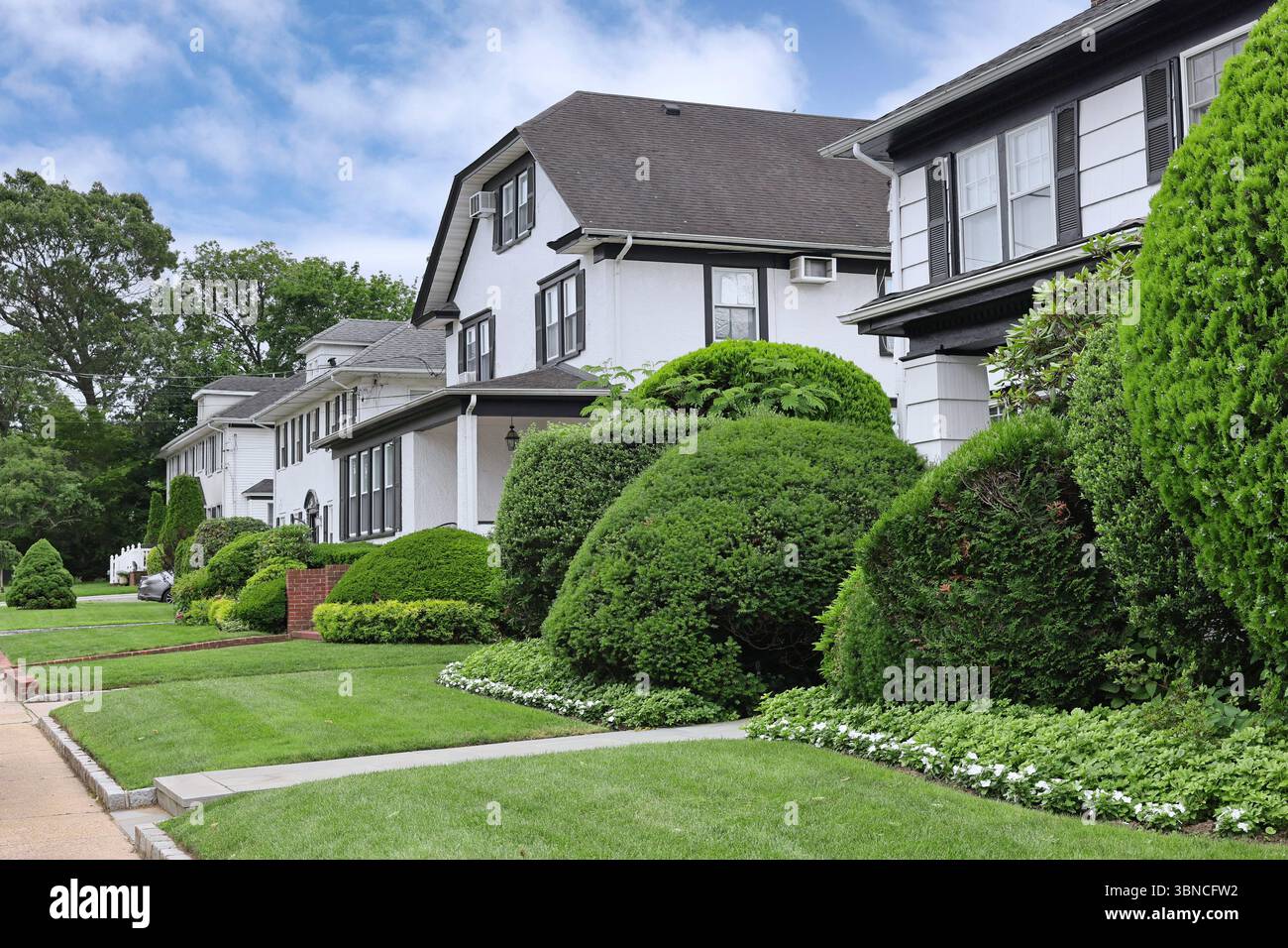 Strada suburbana con una fila di case bianche in stucco con prati frontali ben rifiniti Foto Stock