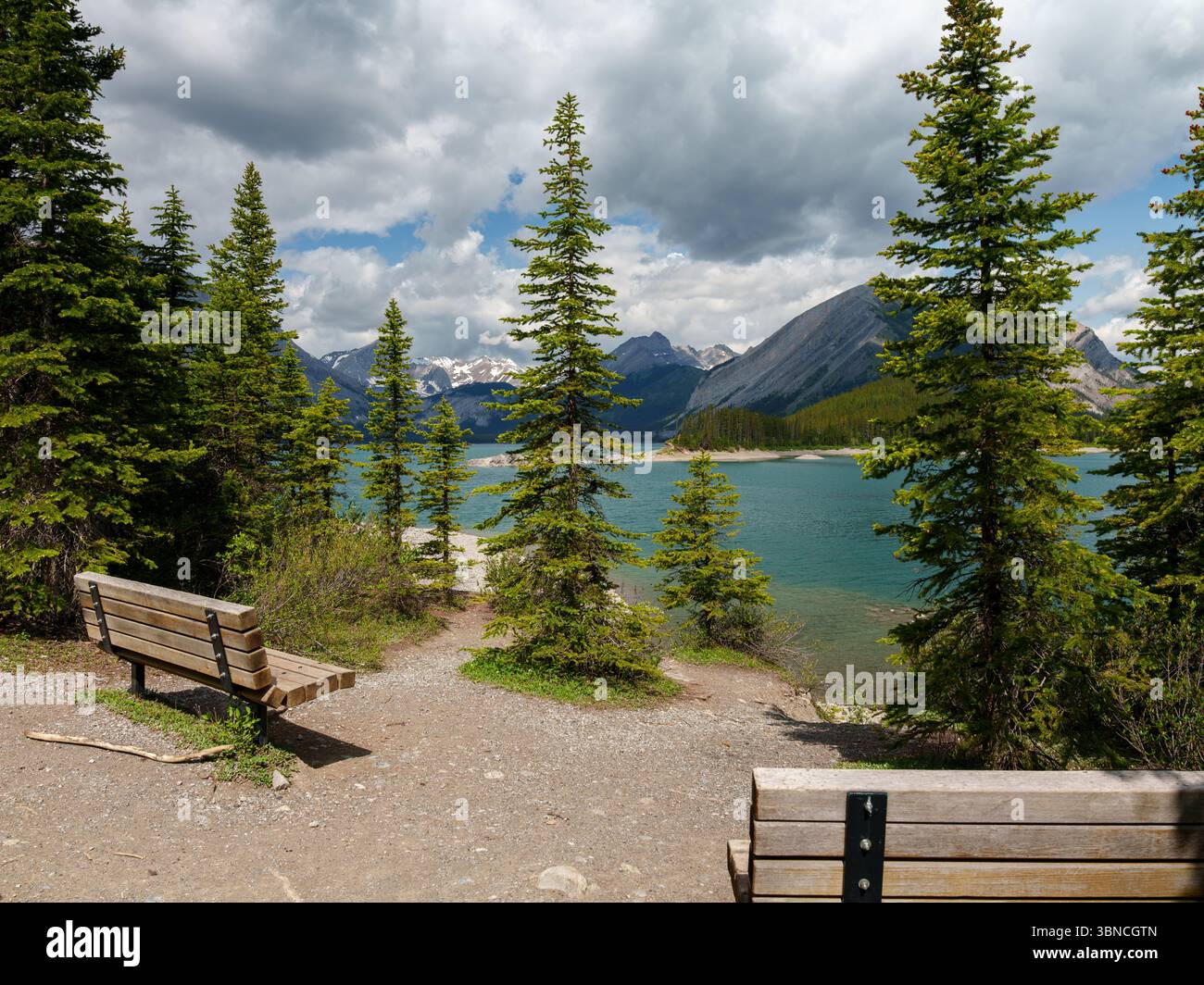 Due panchine in legno sulla riva di un lago alpino turchese con cime di montagna sullo sfondo. La scena è circondata da pini sotto una parte Foto Stock