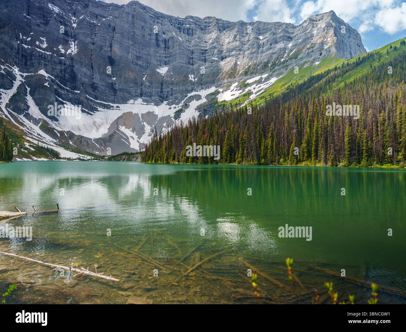 Vista panoramica di un verde lago alpino circondato da pinete e suggestive vette montane nel Peter Lougheed Provincial Park, Alberta, Canada. Foto Stock