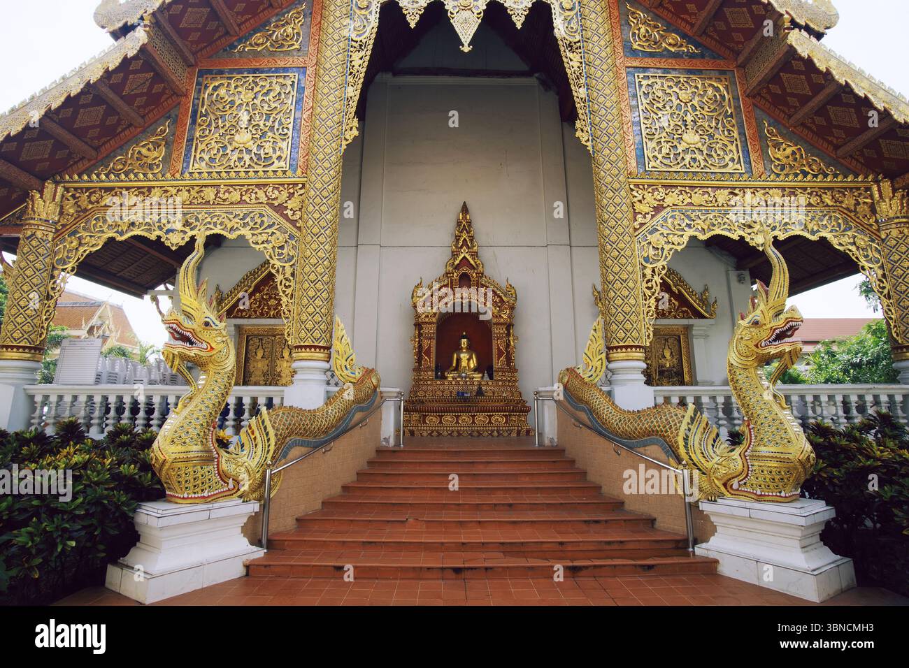 Scala Golden Naga al Tempio buddista Chiang mai, Thailandia Foto Stock