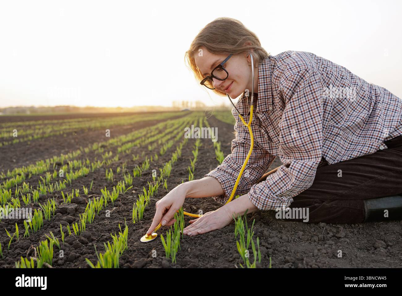 Donna che utilizza lo stetoscopio per controllare le giovani piantine verdi sul campo, concetto di salute delle piante e agroscienza. Foto Stock