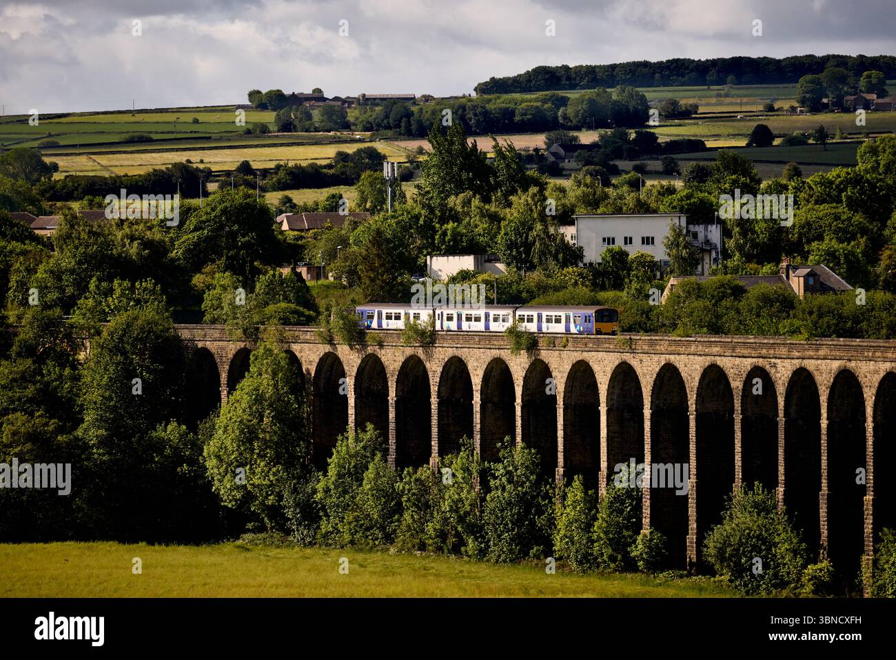 Treno locale del nord che attraversa il viadotto Penistone, un viadotto ferroviario classificato di grado II a Barnsley, South Yorkshire Foto Stock