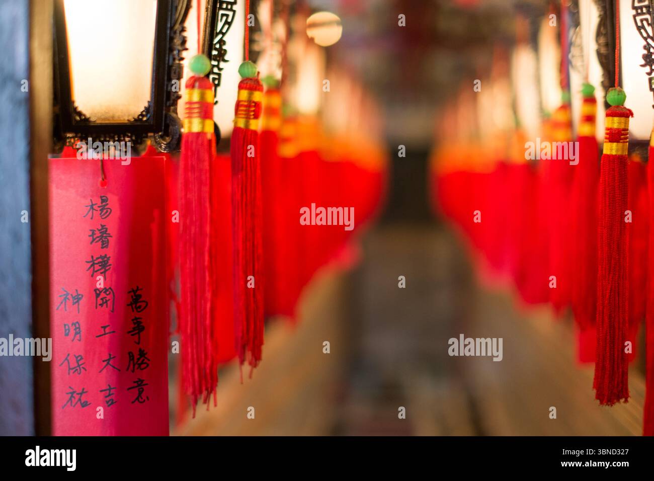 Una vivace scena all'interno di un tempio a Sheung Wan, Hong Kong, con file di lanterne rosse adornate con tradizionali nappine. Foto Stock
