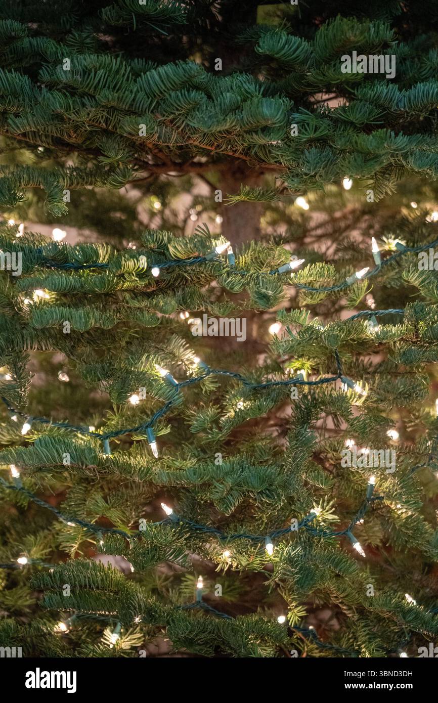 Decorazioni natalizie caratterizzate da accoglienti luci natalizie, ornamenti e rami di pino che creano un'atmosfera calda e nostalgica invernale Foto Stock