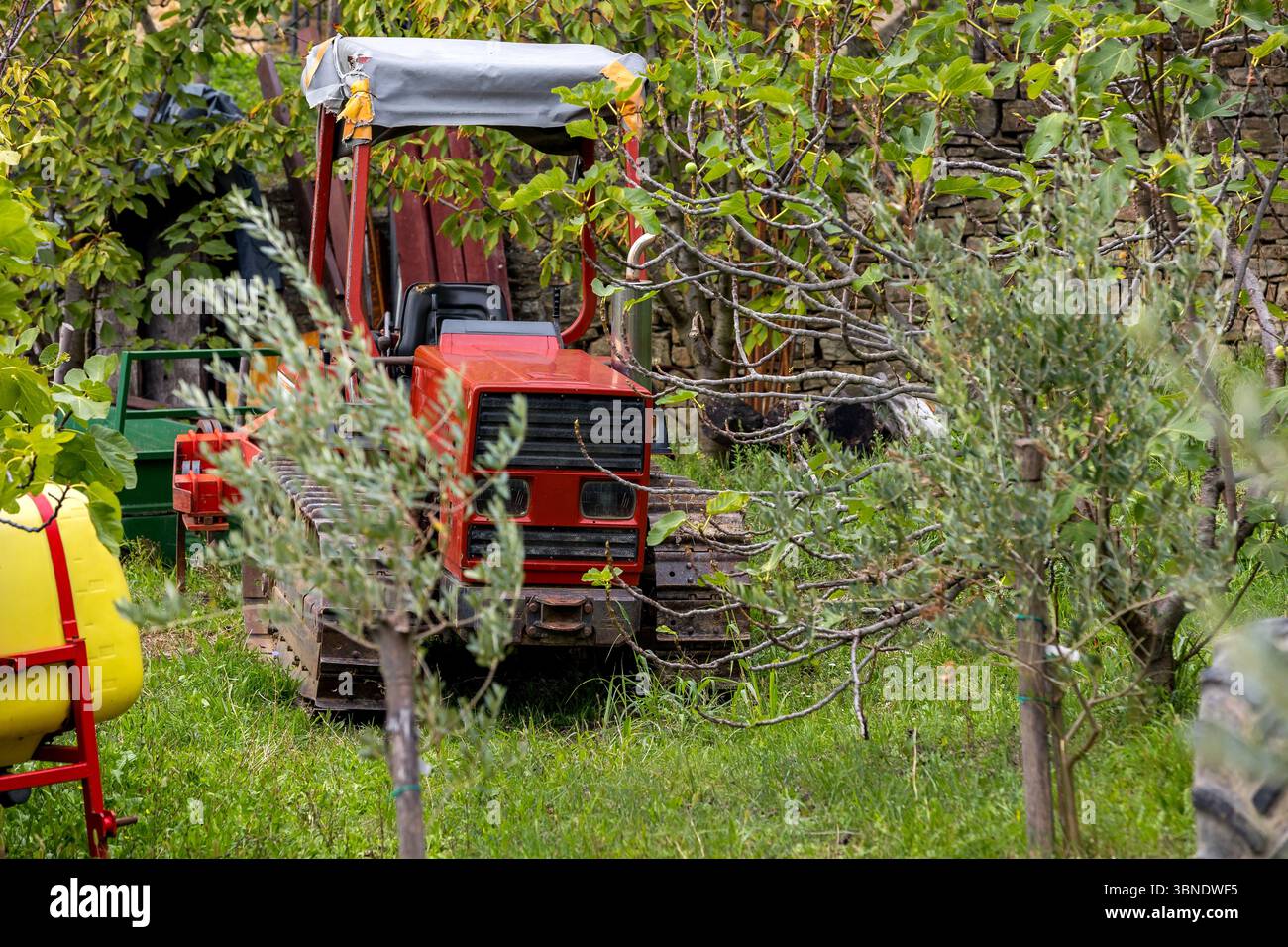 Vecchio trattore agricolo rosso d'epoca nel giardino tra gli alberi Foto Stock