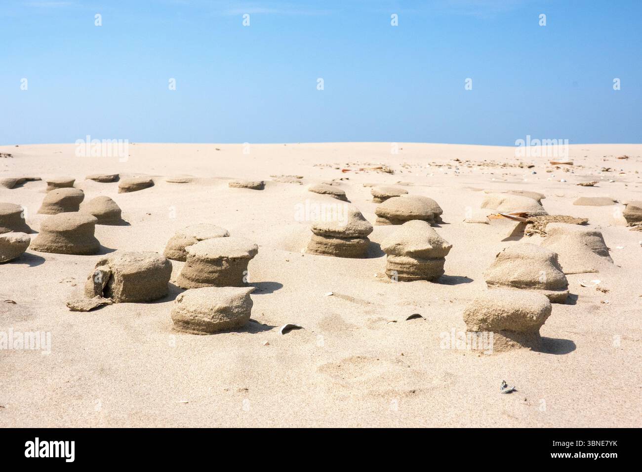 Formazione di strane forme colonnari formate dall'avvolgimento quando la sabbia bagnata di una spiaggia si asciuga Foto Stock