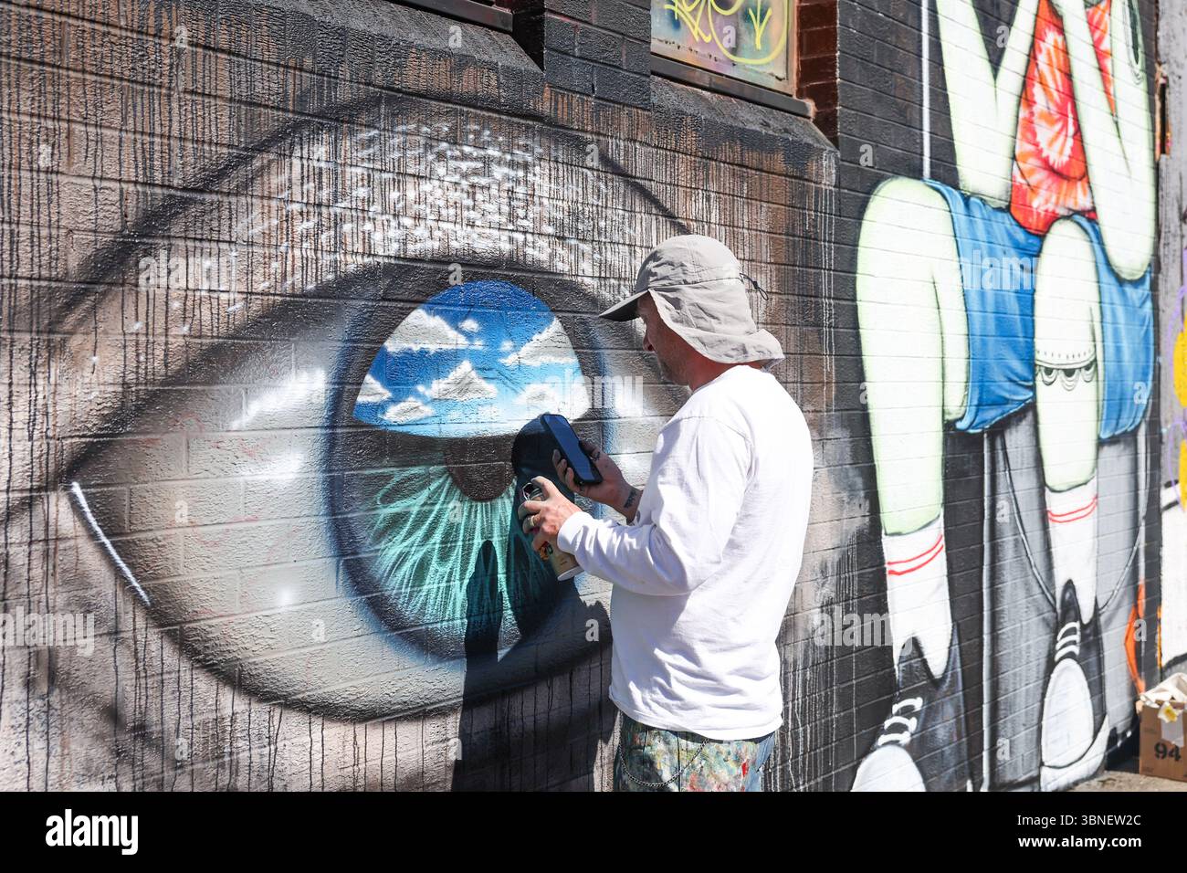 Partecipa al festival di Street art North Grass Routes a Belfast, l'artista dell'Irlanda del Nord proveniente da tutto il mondo si riunisce per creare arte sulle mura della città. Foto Stock