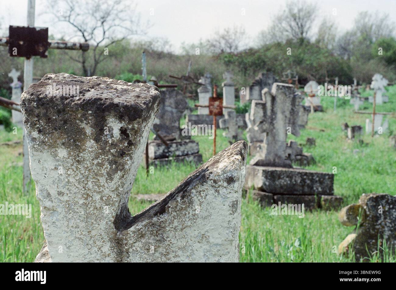 Primo piano di lapidi intemperie circondati da erba verde, girati su pellicola con tonalità vintage. Foto Stock