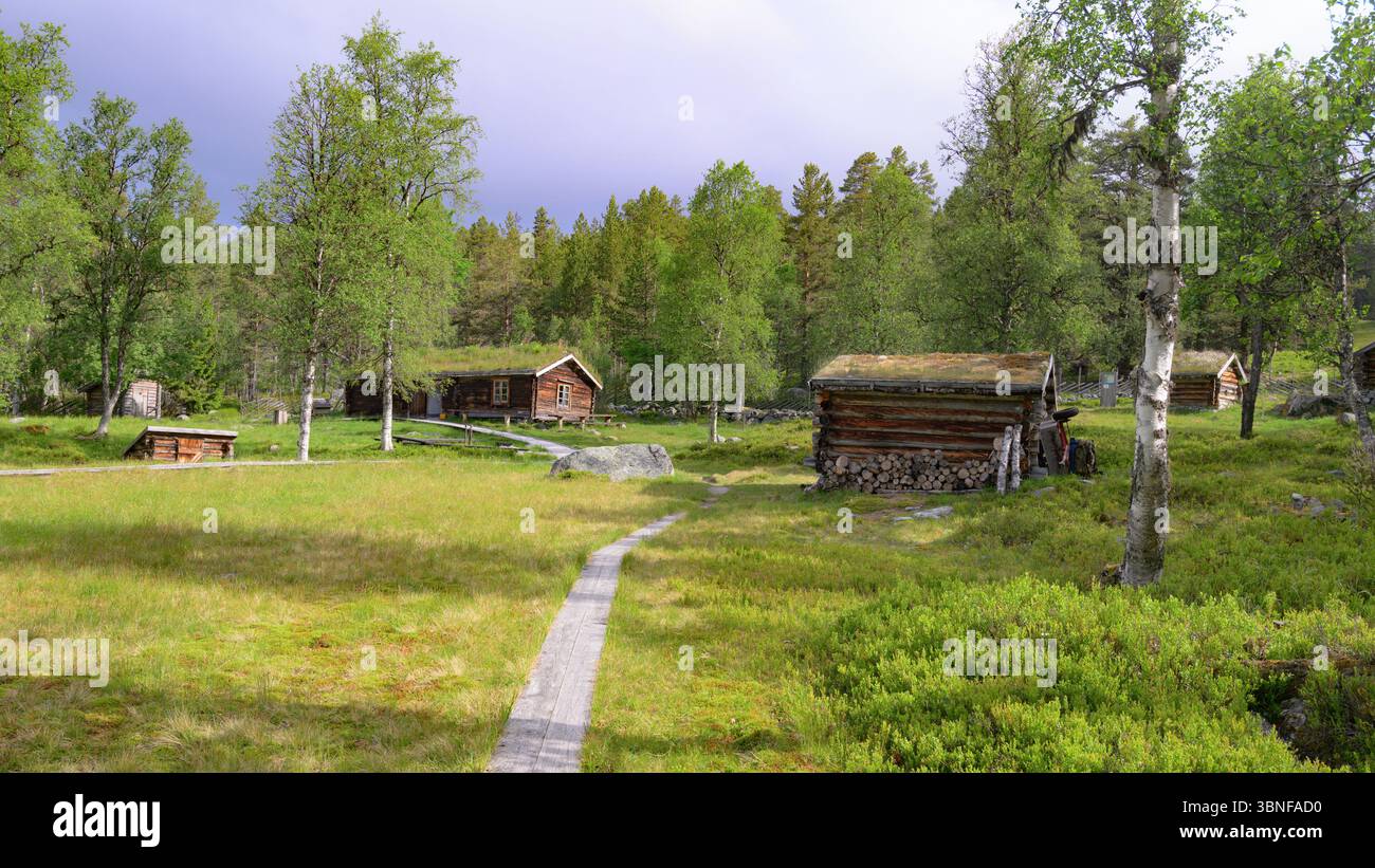 L'ingresso al Parco Nazionale della Gutulia con Gutulisetra (composta da edifici in legno intemprati dal sole) al centro. Foto Stock