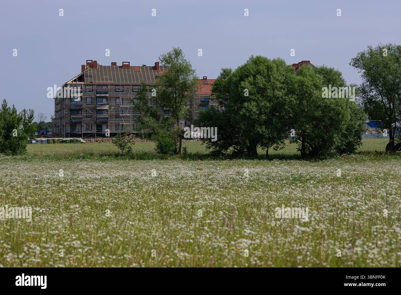 Team di costruttori che lavorano in un cantiere di edilizia abitativa con caschi protettivi e giubbotti di sicurezza in una giornata di sole sereno Foto Stock